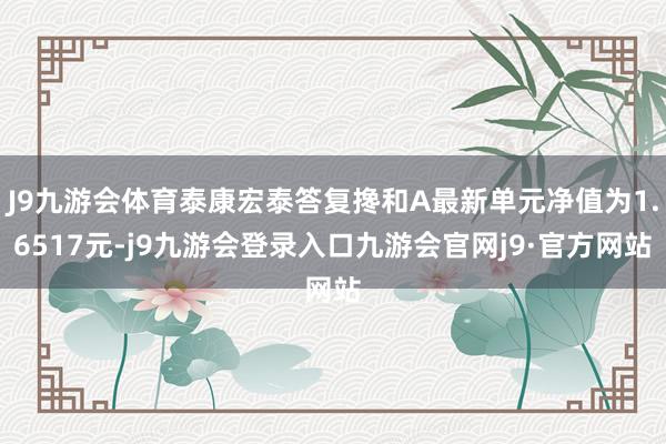 J9九游会体育泰康宏泰答复搀和A最新单元净值为1.6517元-j9九游会登录入口九游会官网j9·官方网站